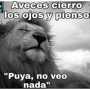 Meet your Posher, Alejandro